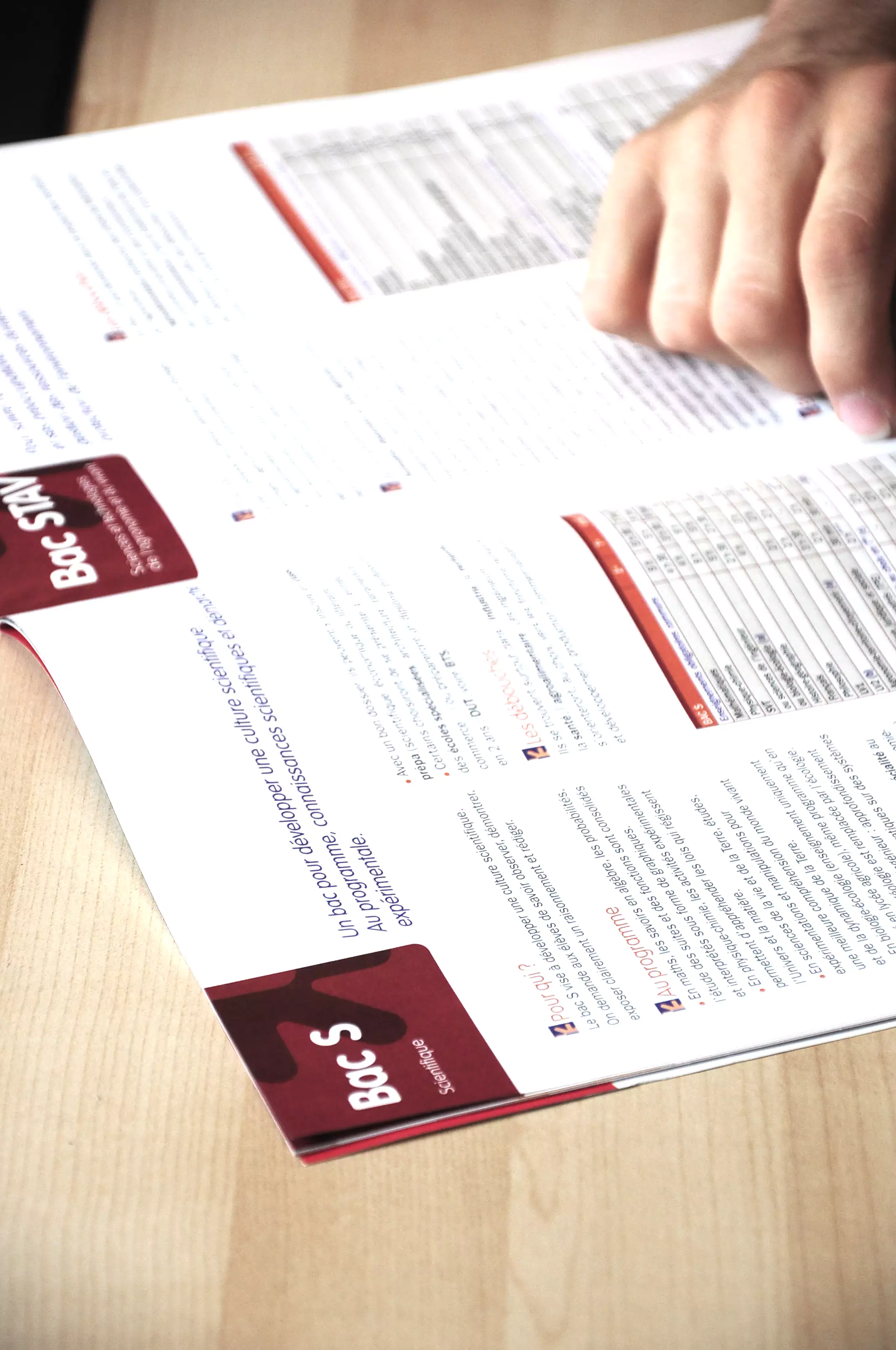 Clotilde Beylouneh Psychologue